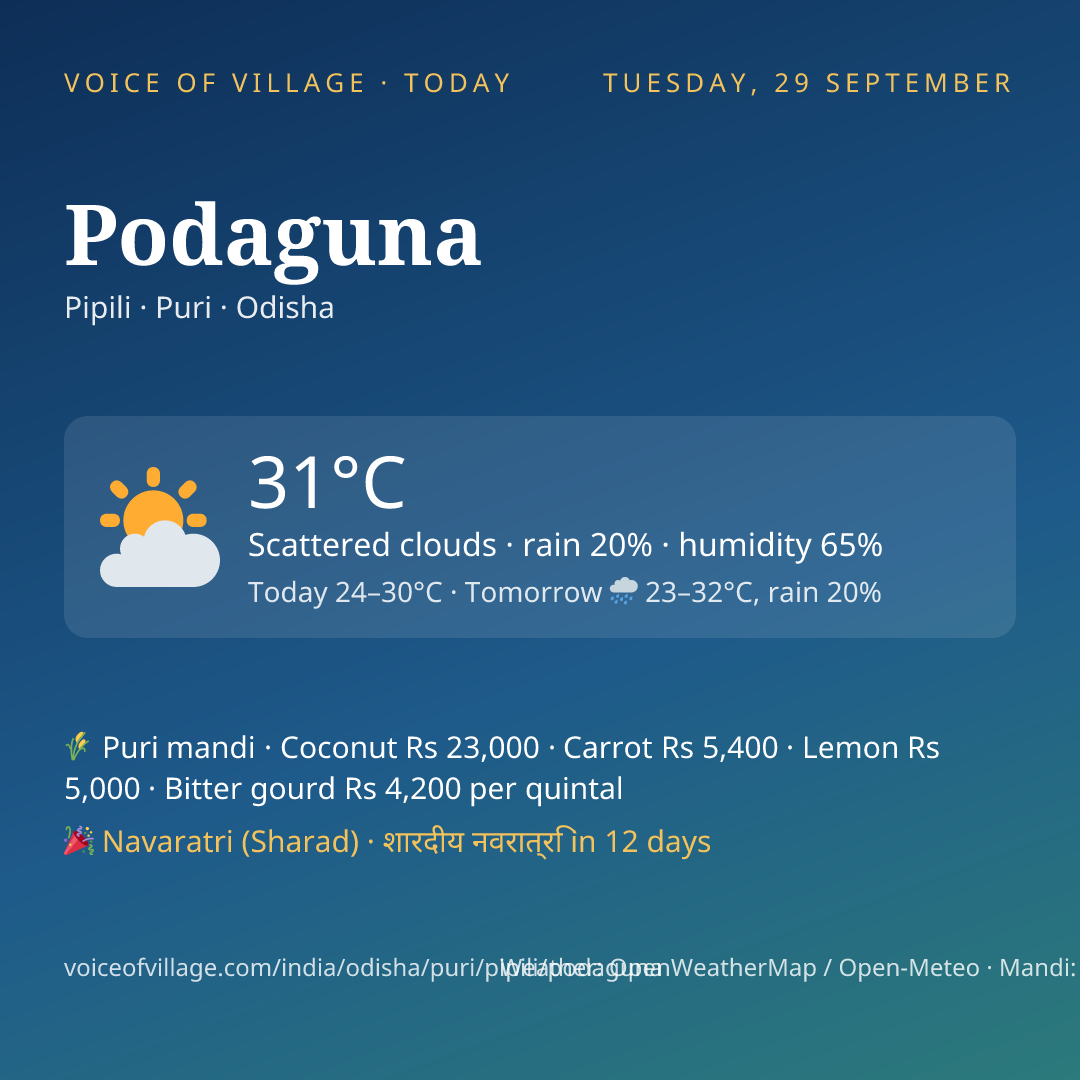 Podaguna today