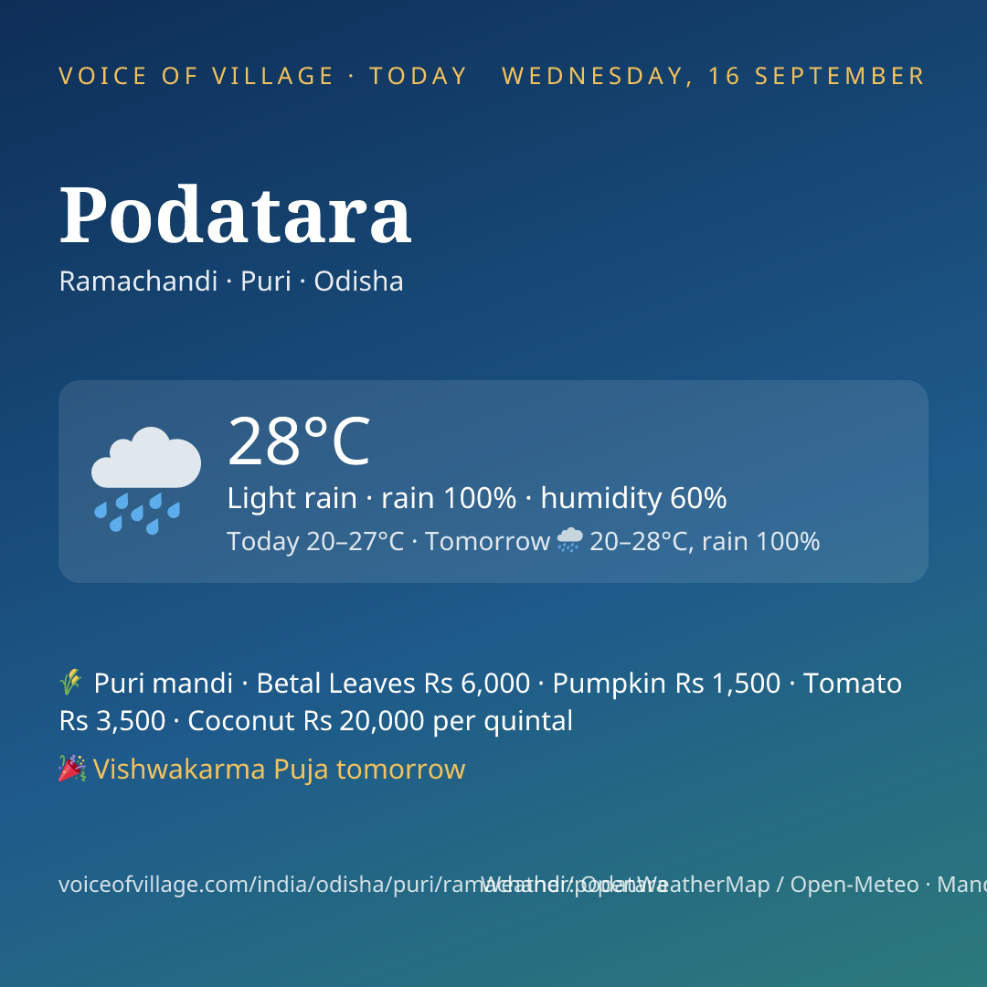 Podatara today
