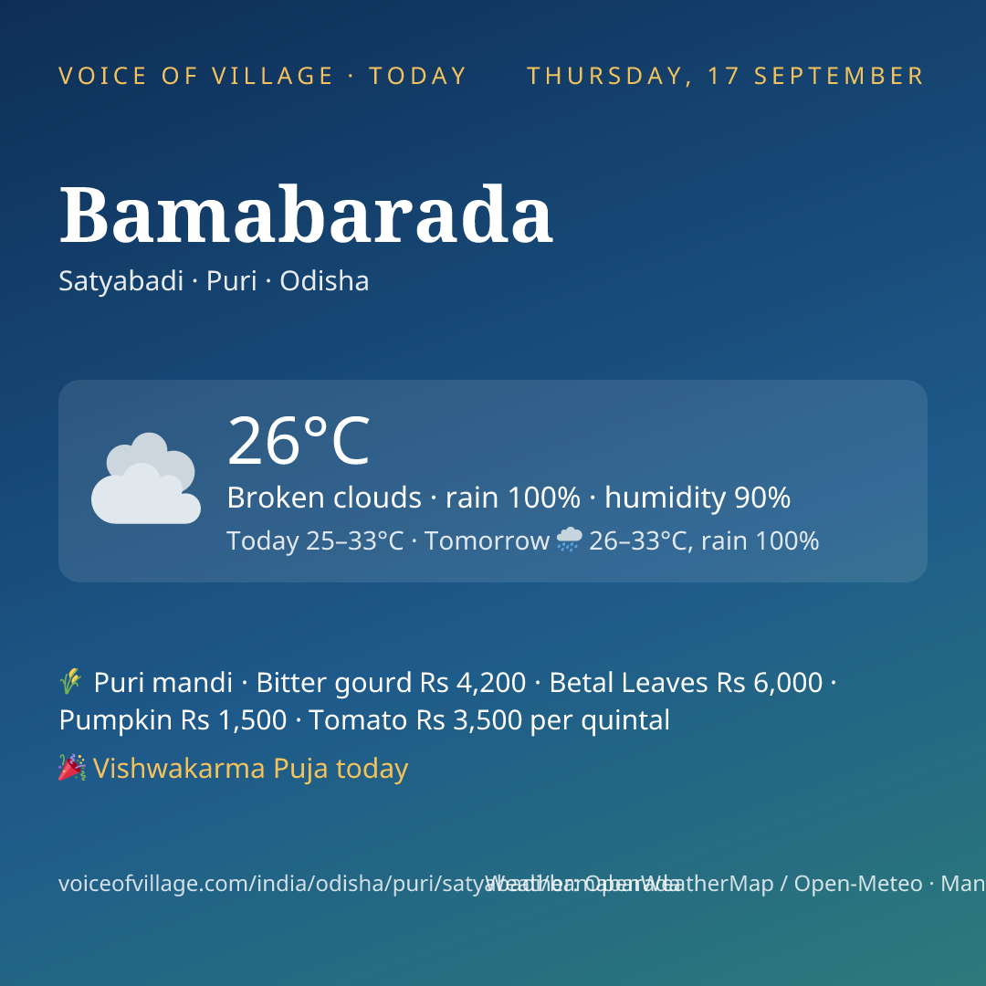 Bamabarada today