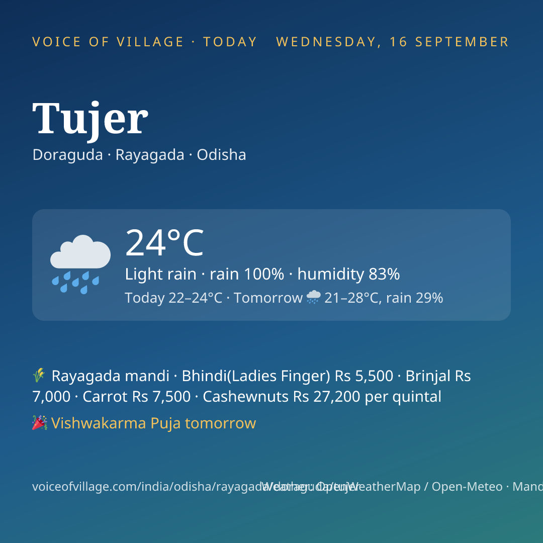 Tujer today