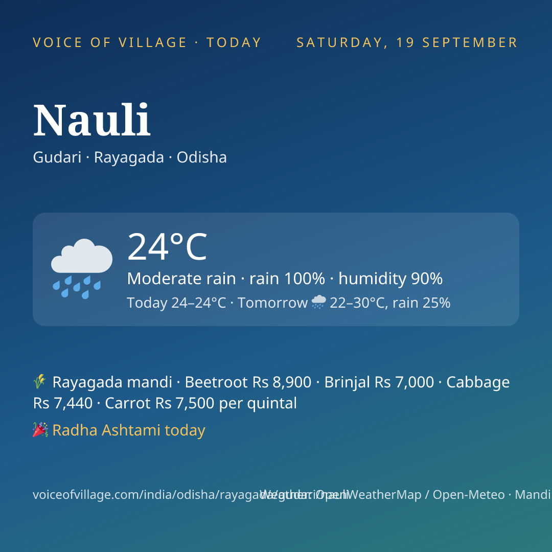 Nauli today