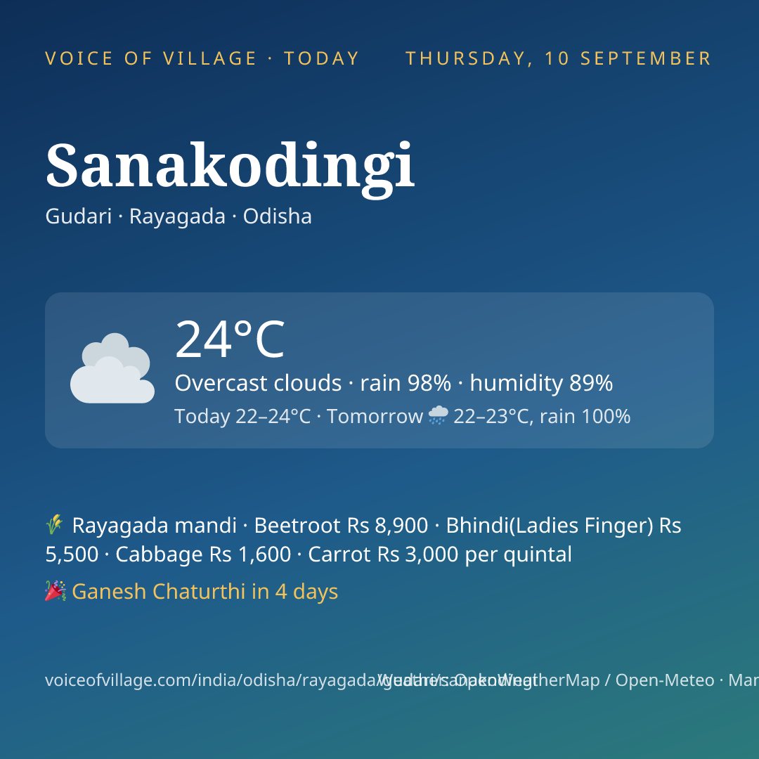 Sanakodingi today