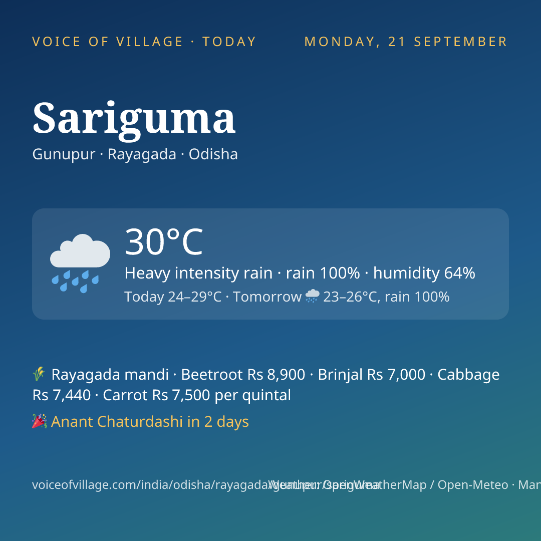 Sariguma today