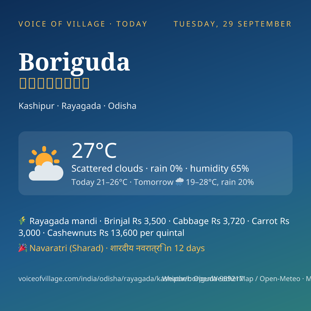 Boriguda today