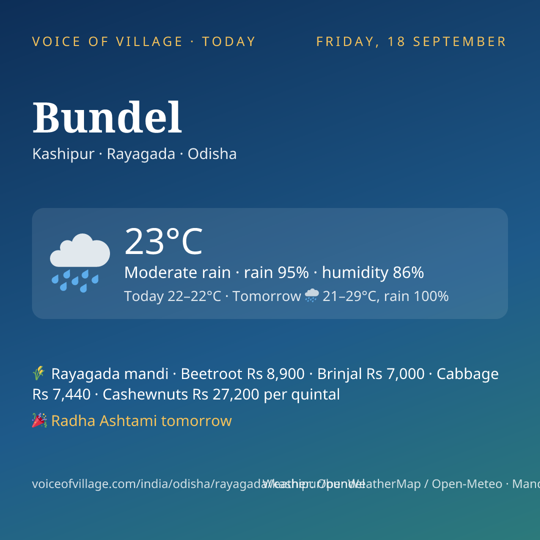 Bundel today