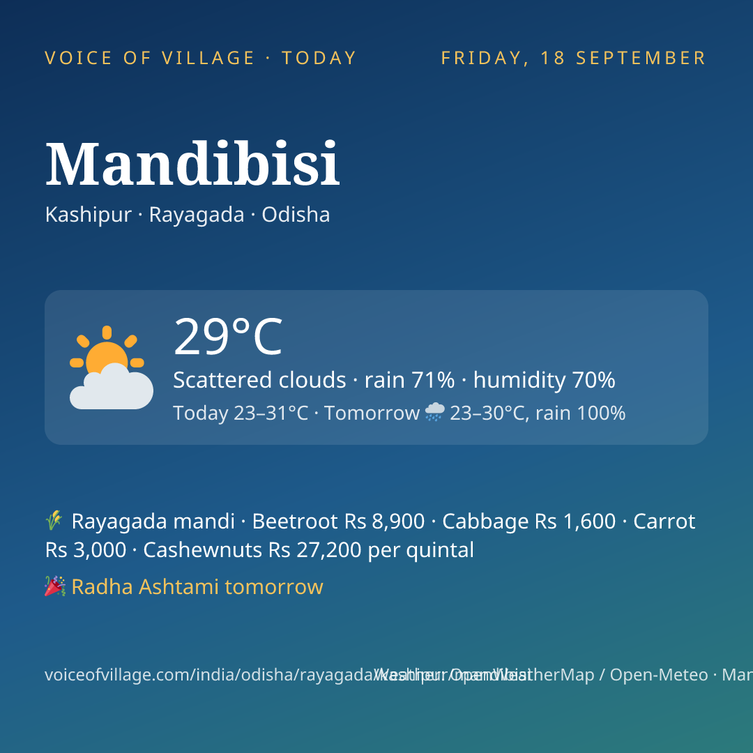 Mandibisi today