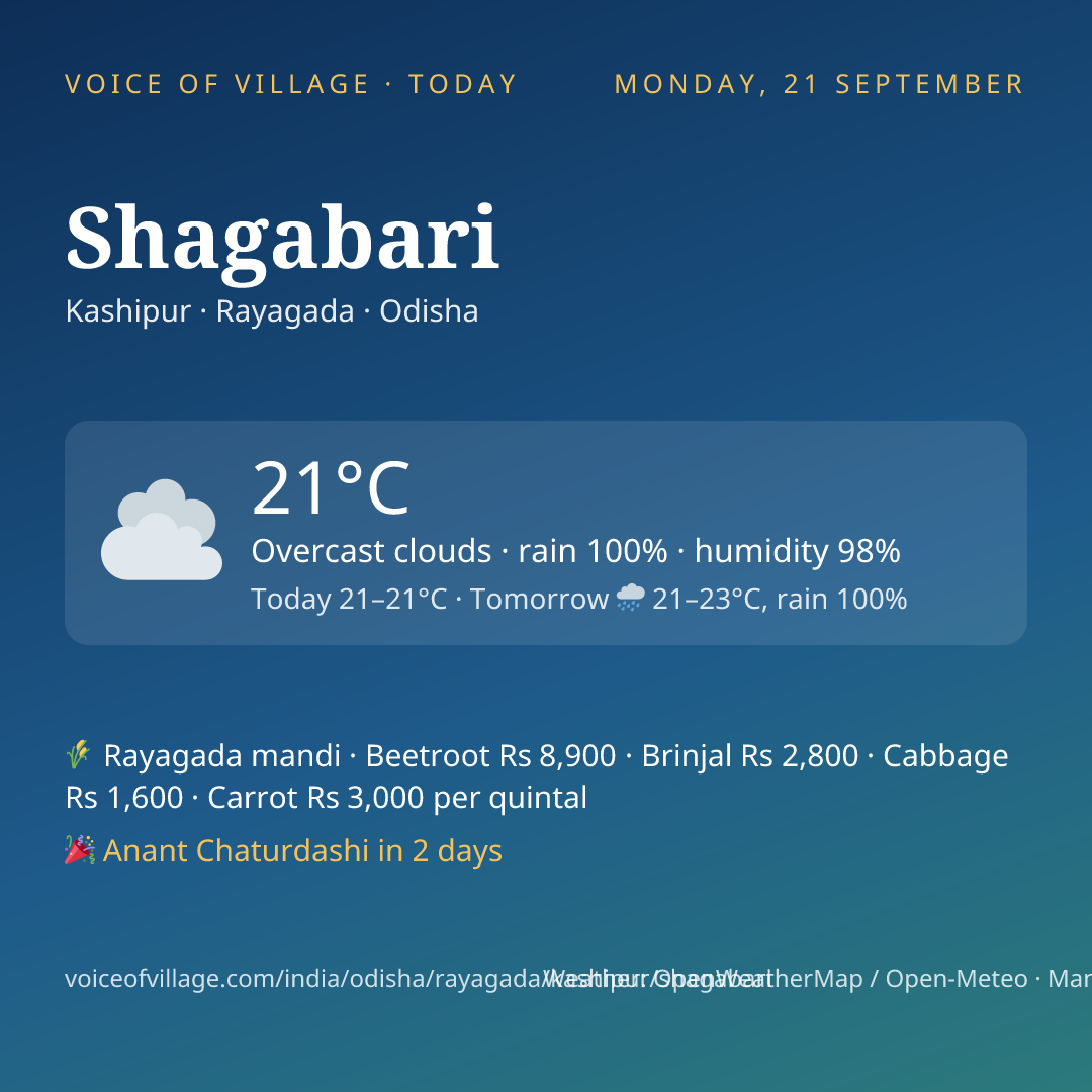 Shagabari today