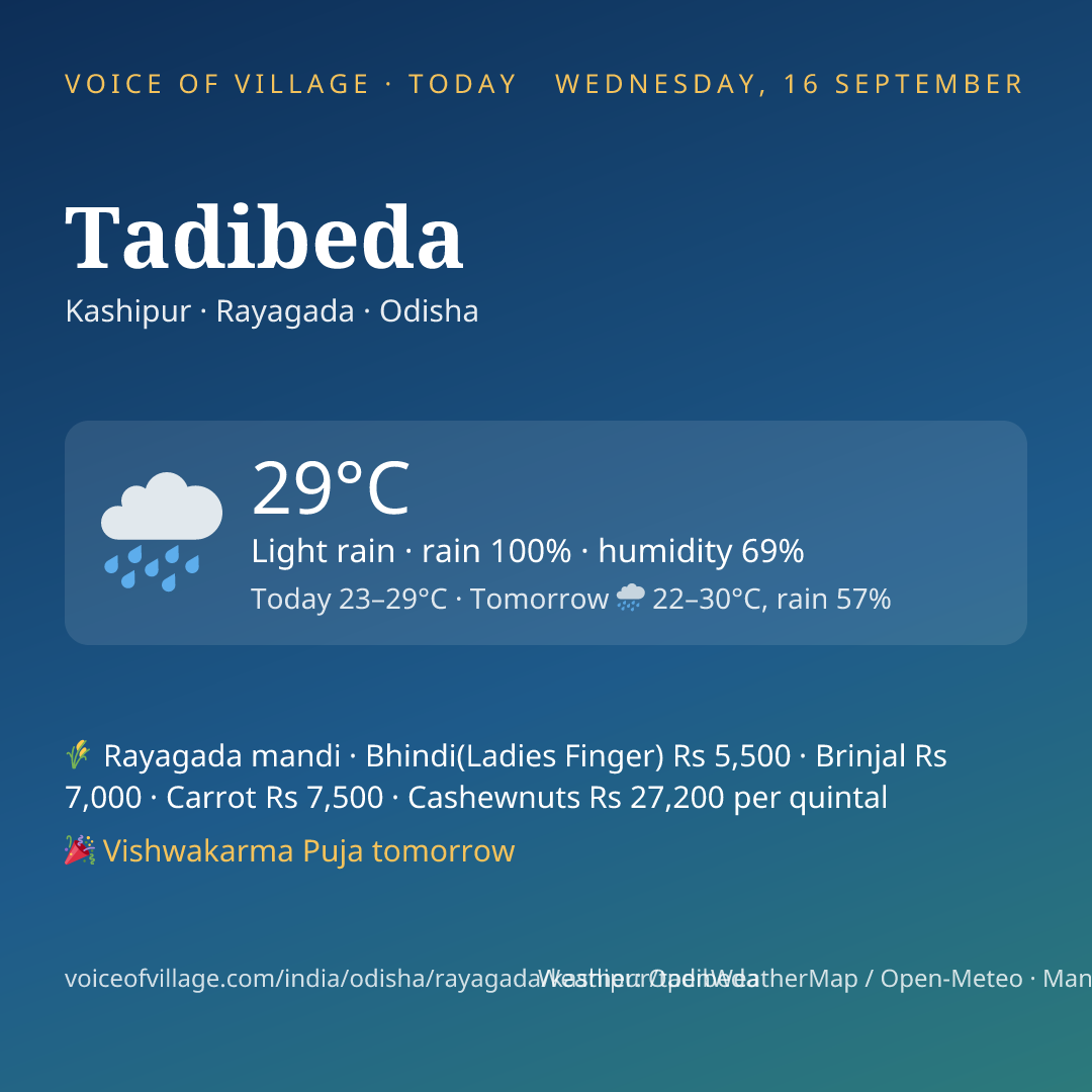 Tadibeda today