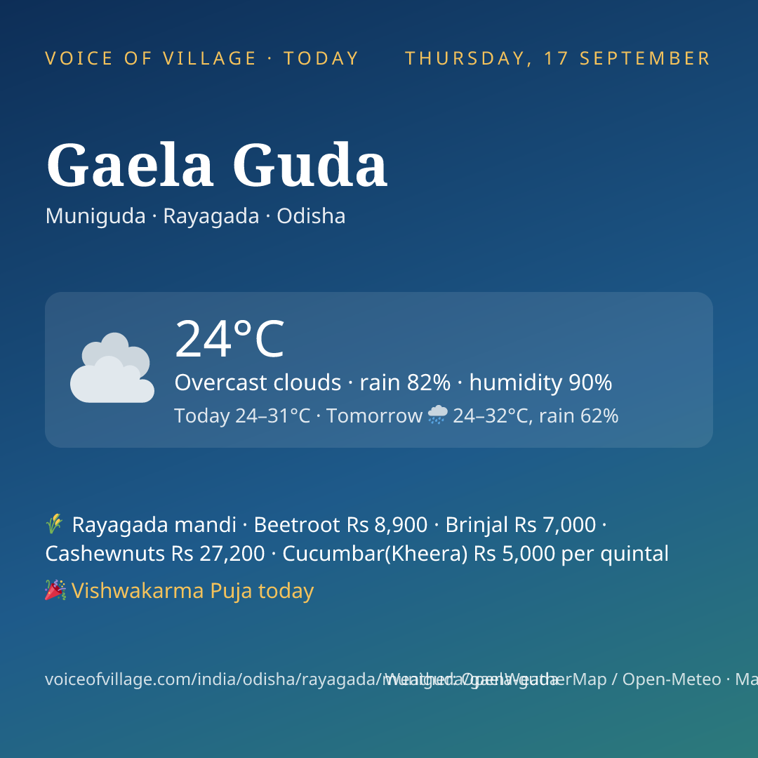 Gaela Guda today