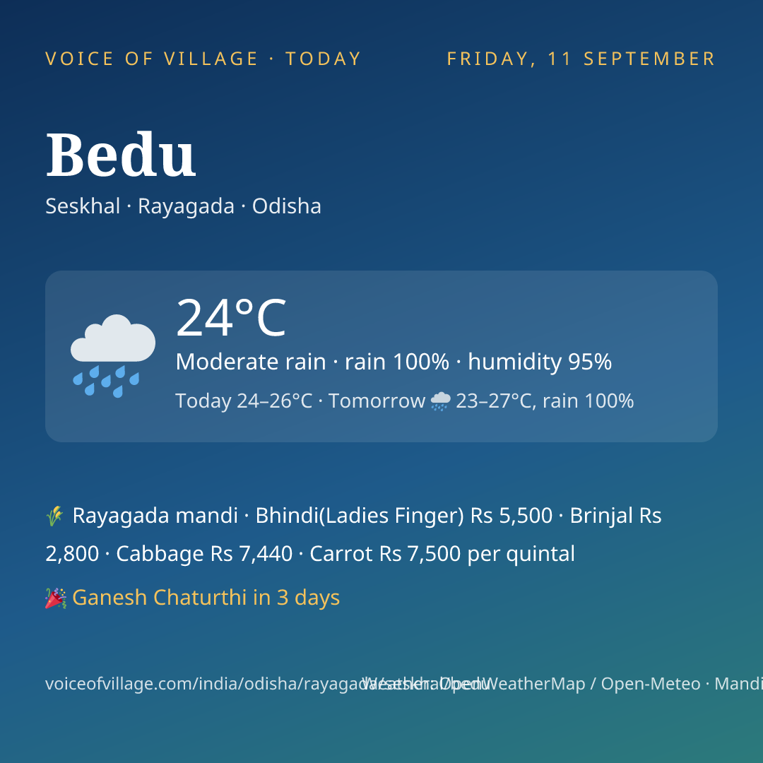Bedu today