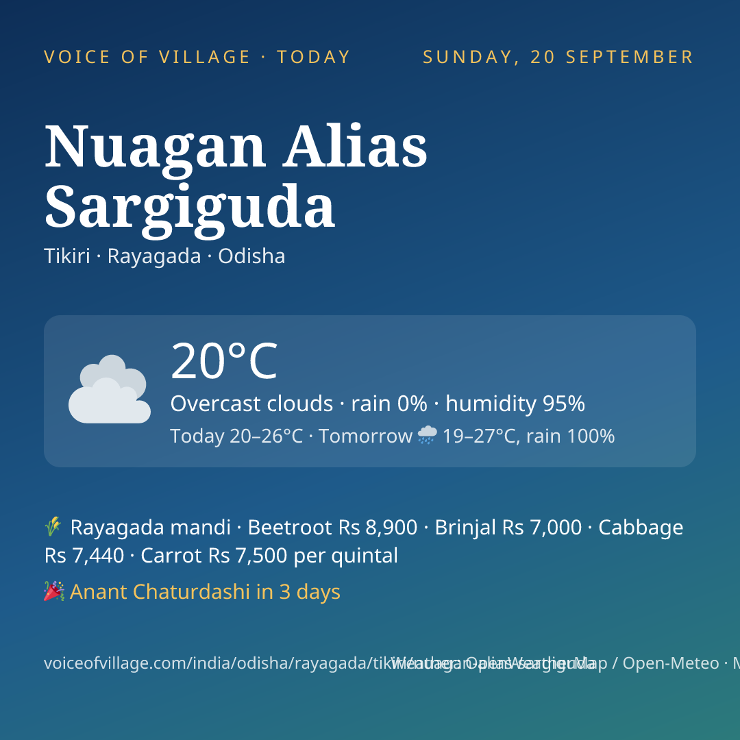 Nuagan Alias Sargiguda today
