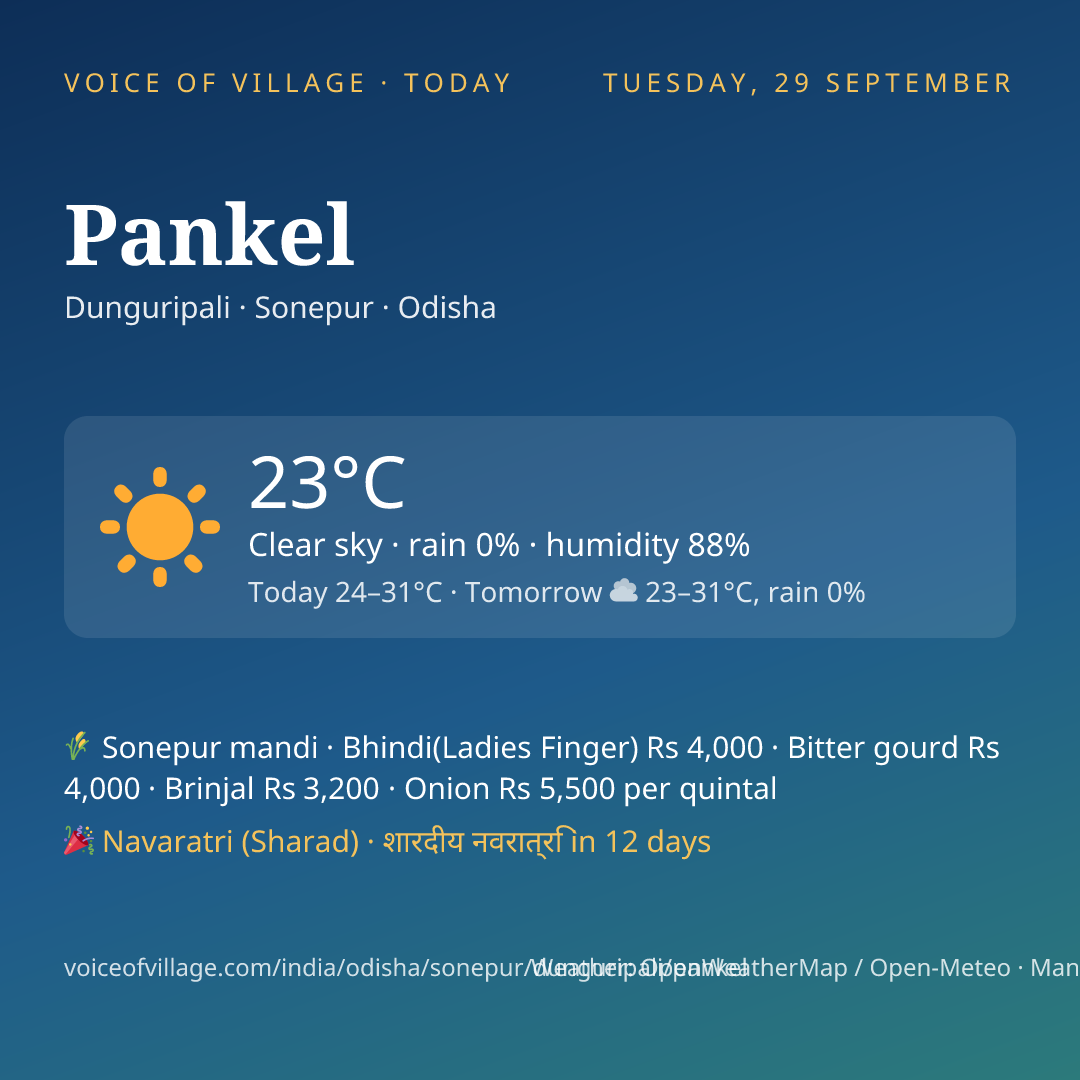 Pankel today