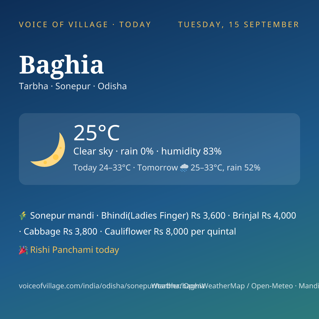 Baghia today