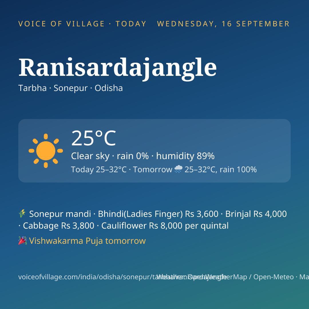 Ranisardajangle today