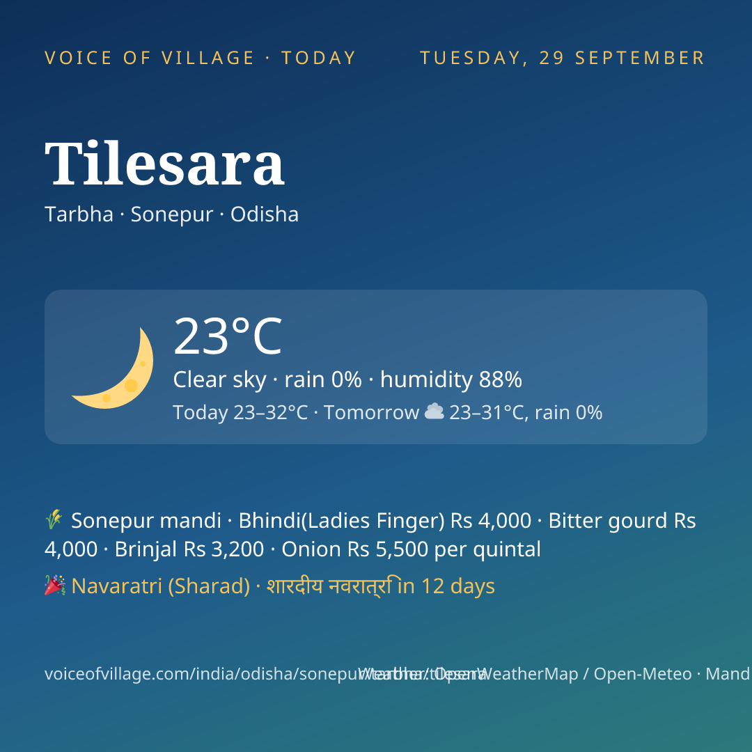 Tilesara today