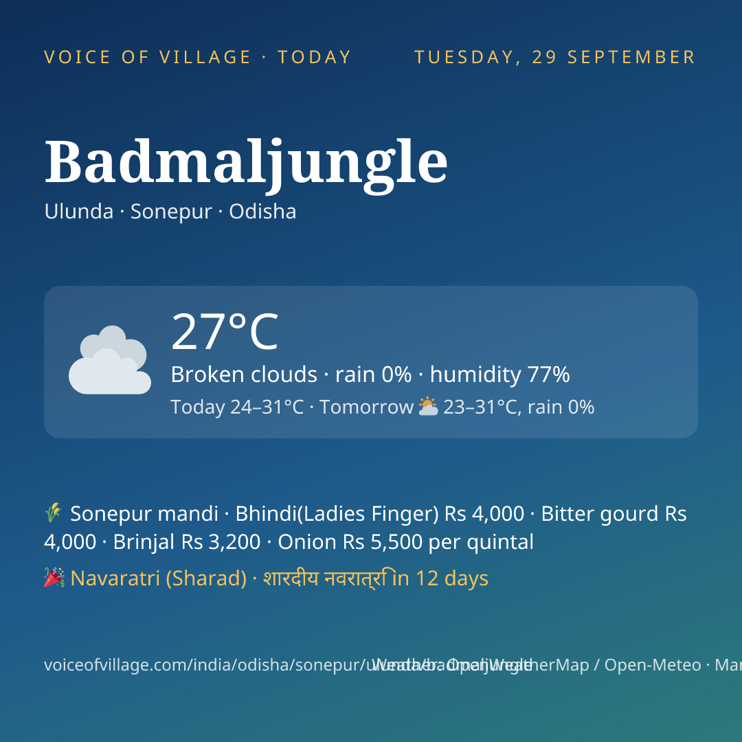 Badmaljungle today