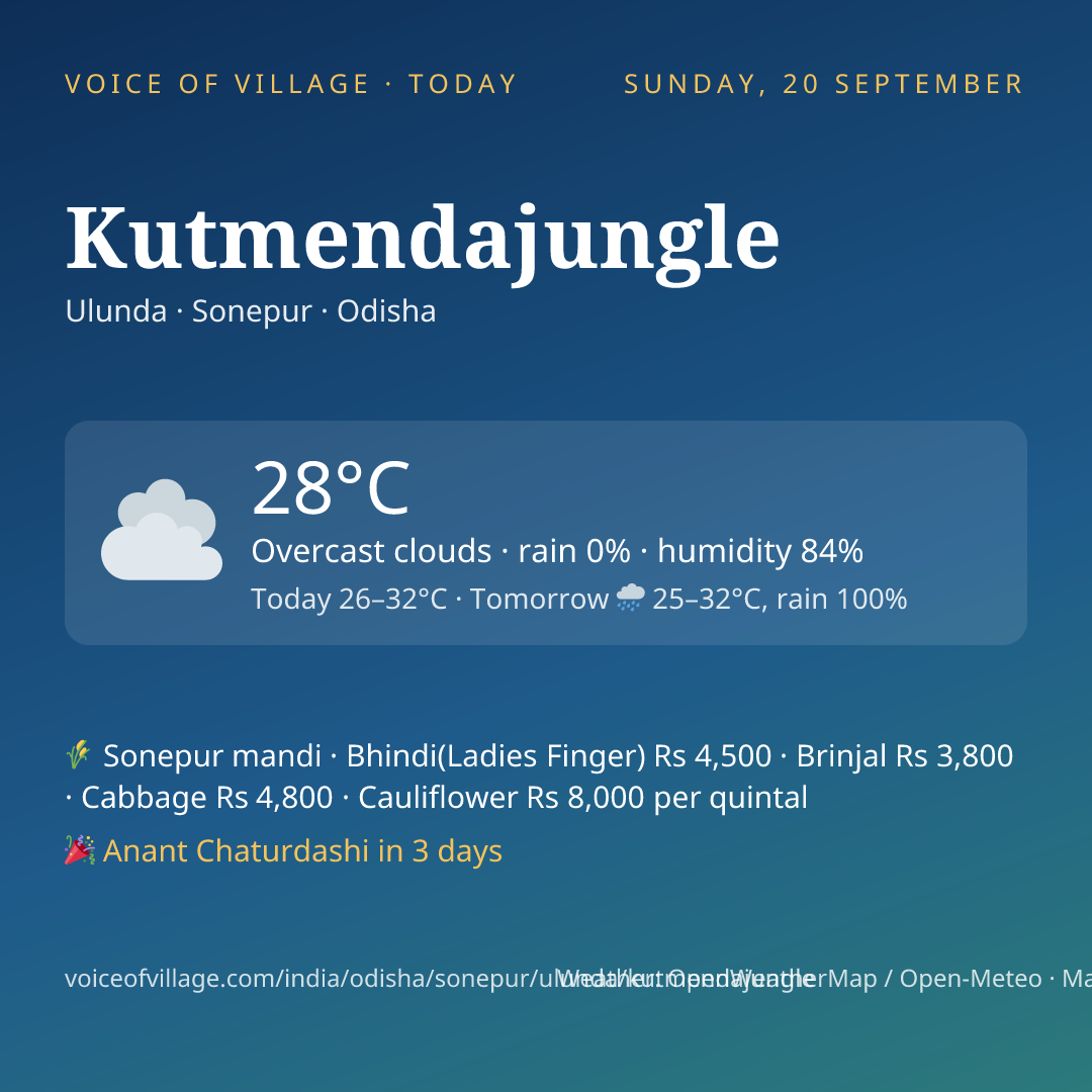 Kutmendajungle today