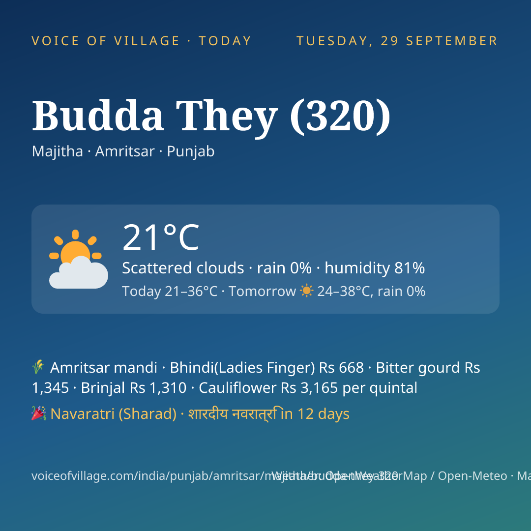 Budda They (320) today