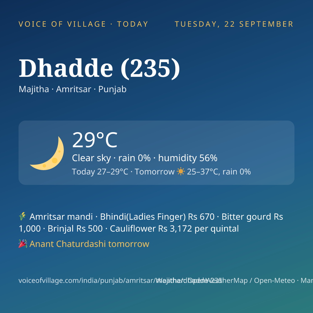 Dhadde (235) today