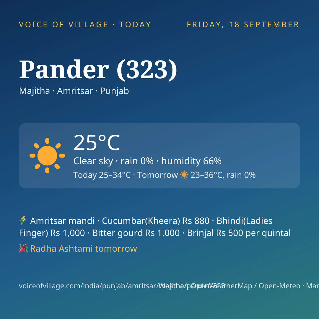 Pander (323) today