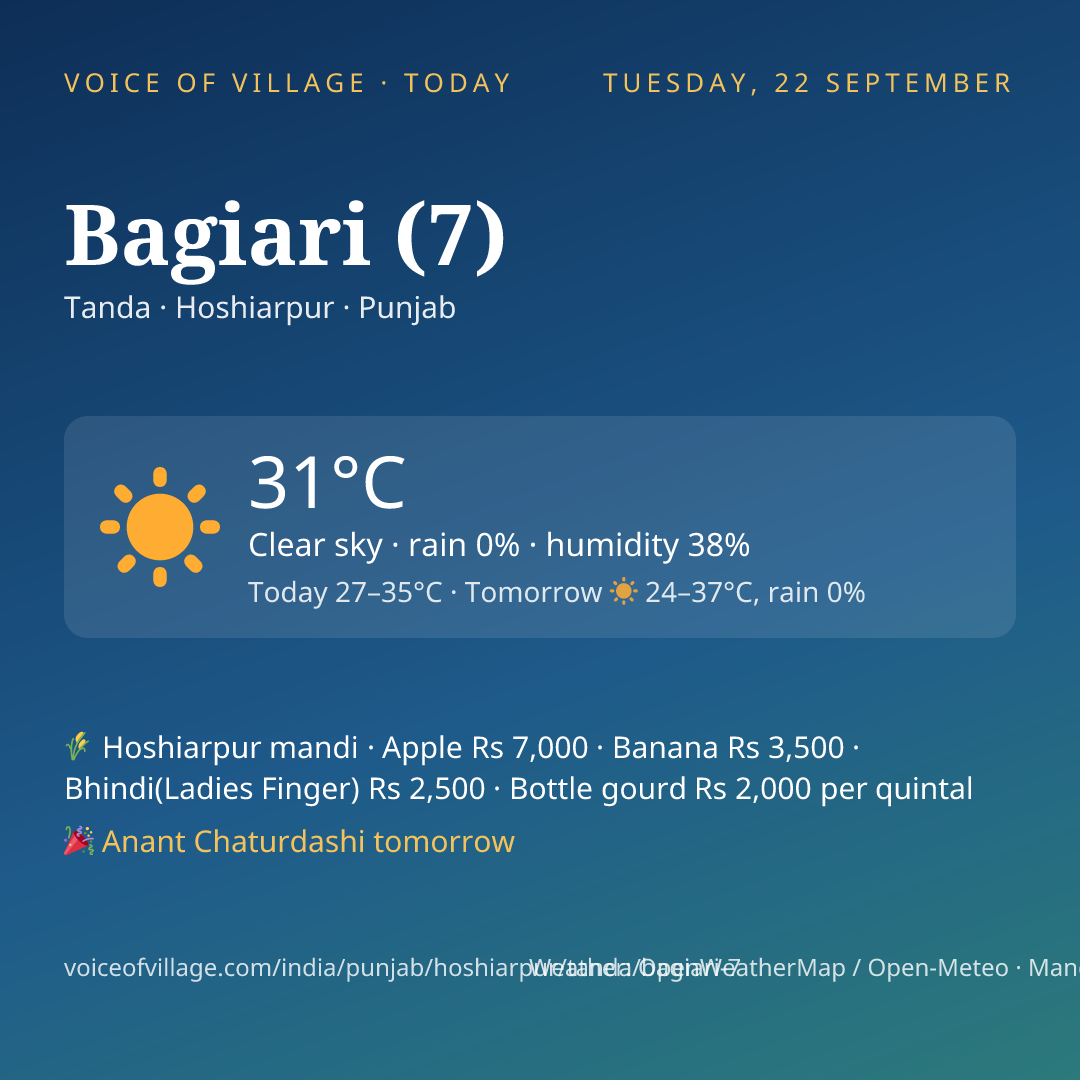 Bagiari (7) today