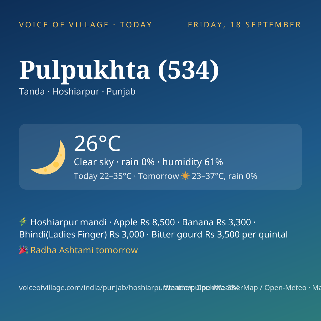 Pulpukhta (534) today