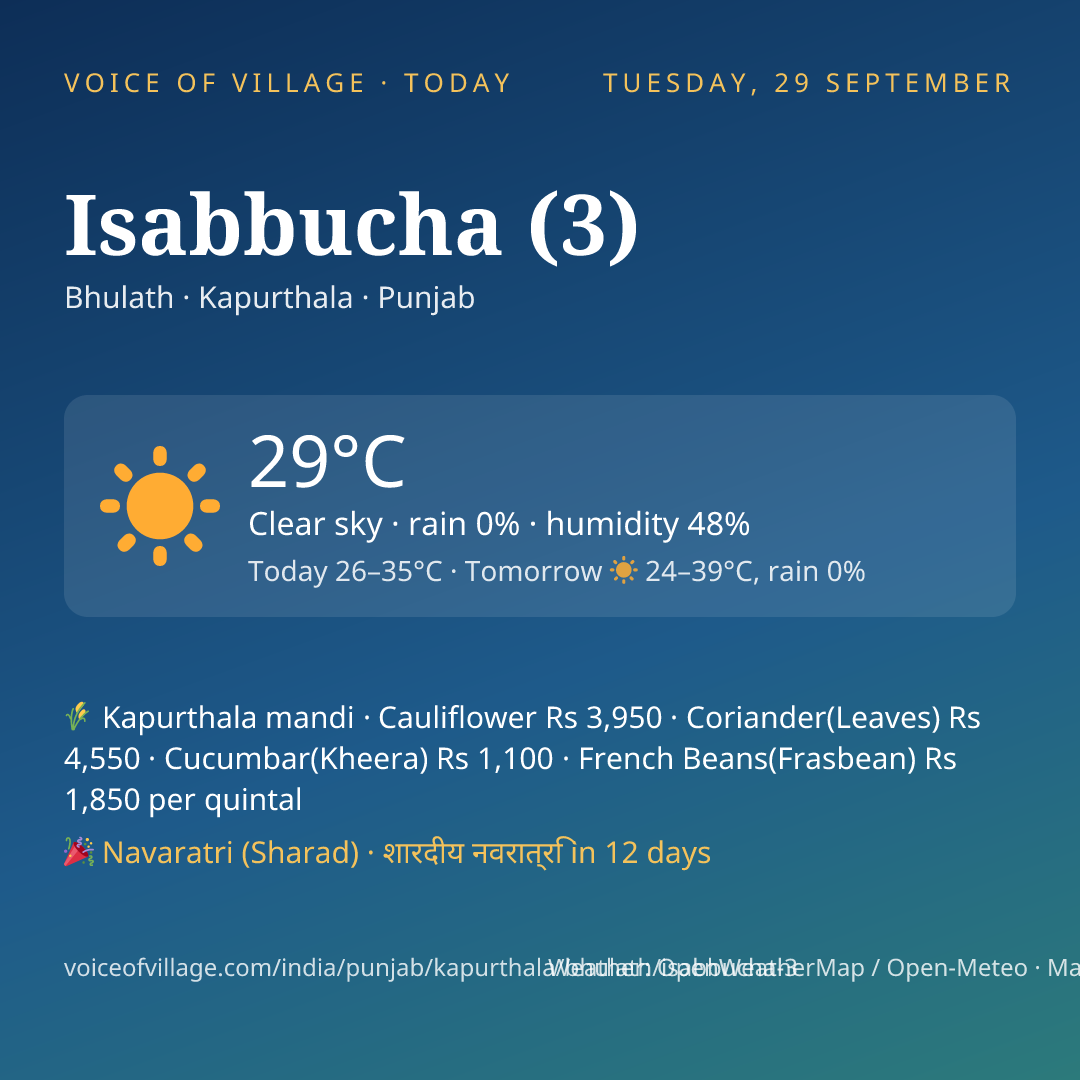 Isabbucha (3) today