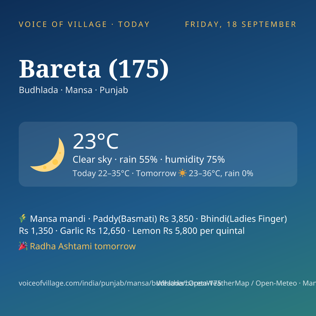 Bareta (175) today