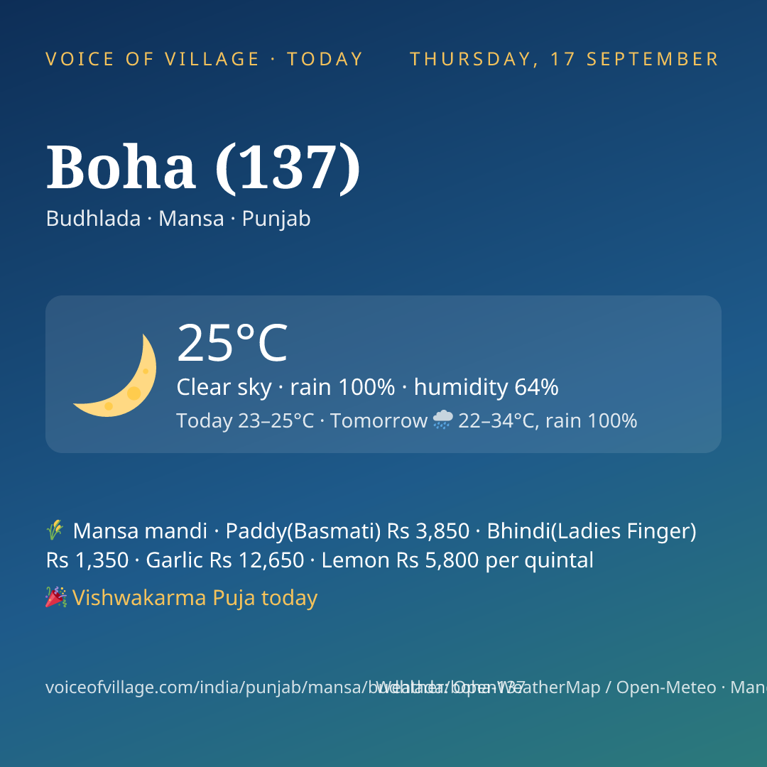 Boha (137) today