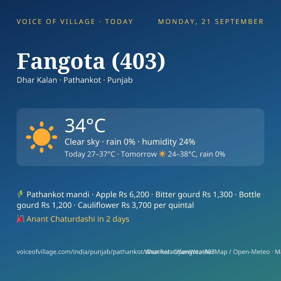 Fangota (403) today
