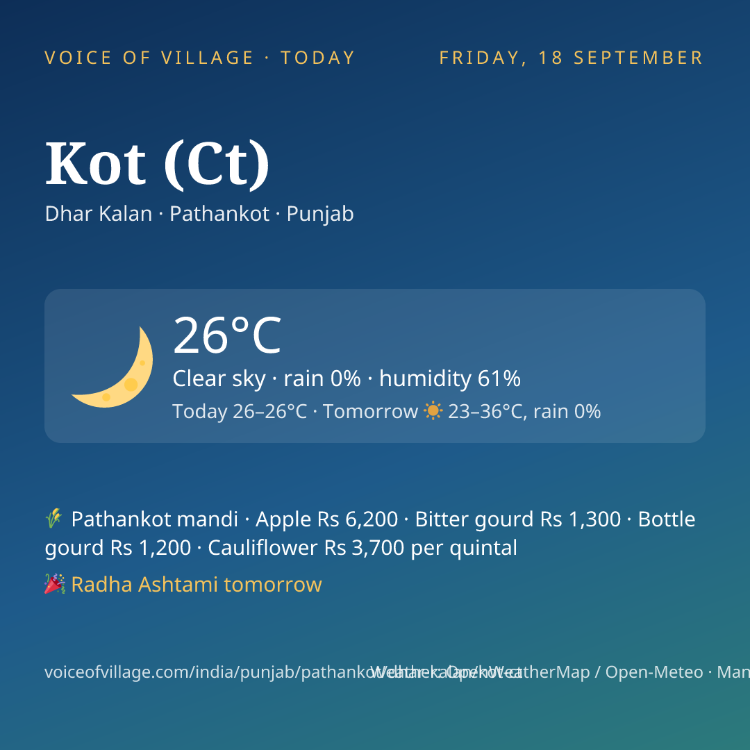 Kot (Ct) today
