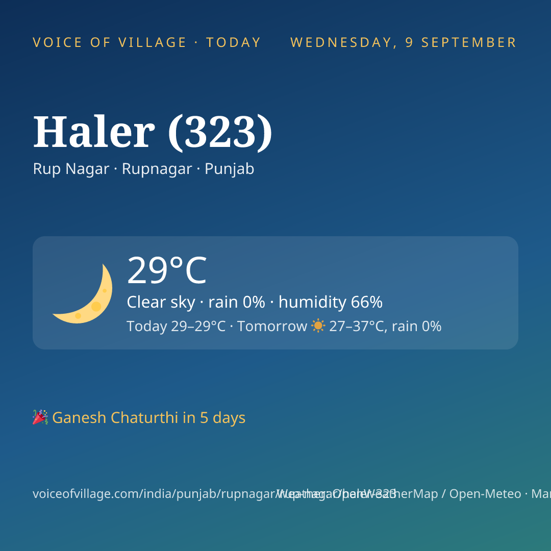 Haler (323) today