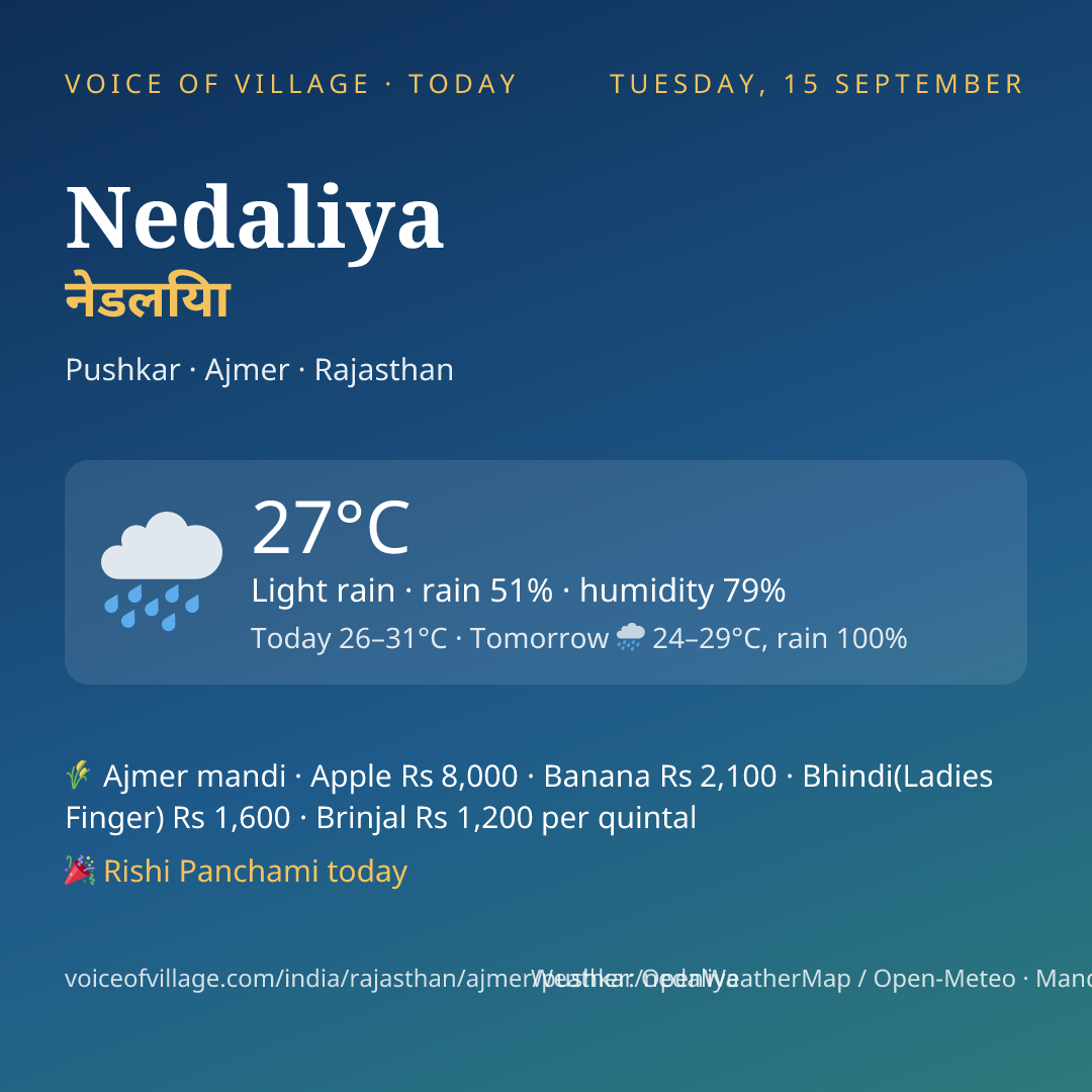 Nedaliya today