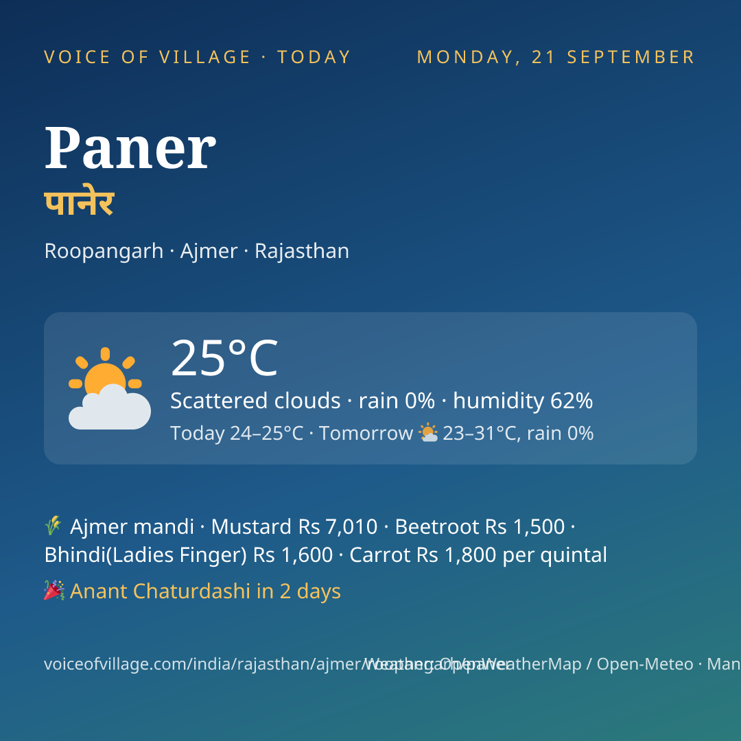 Paner today