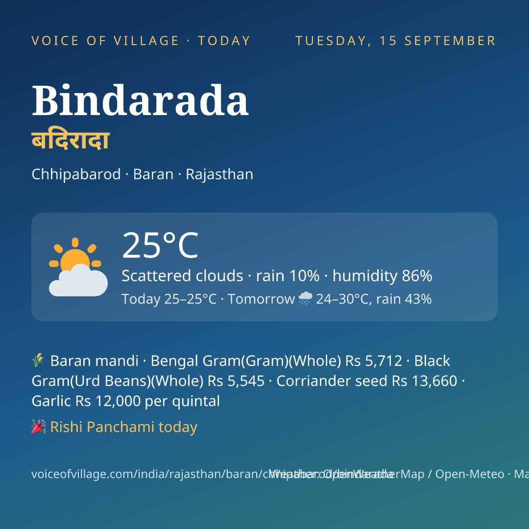 Bindarada today