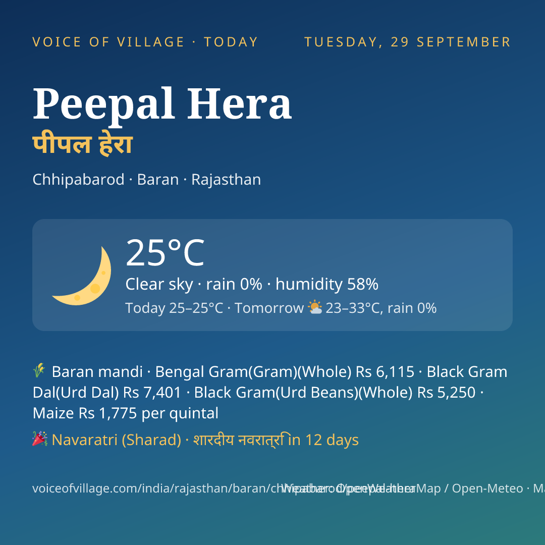 Peepal Hera today