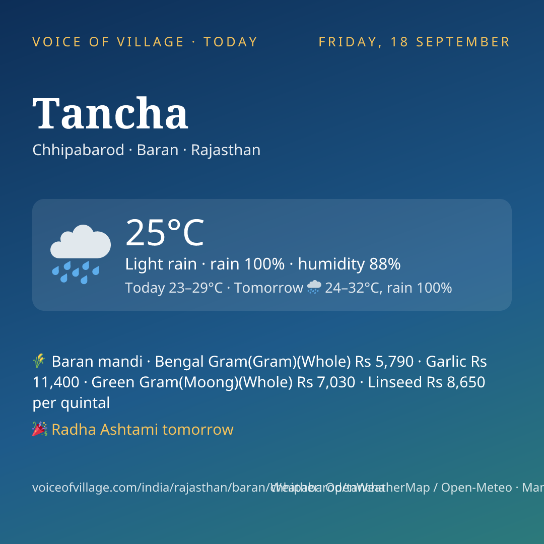 Tancha today
