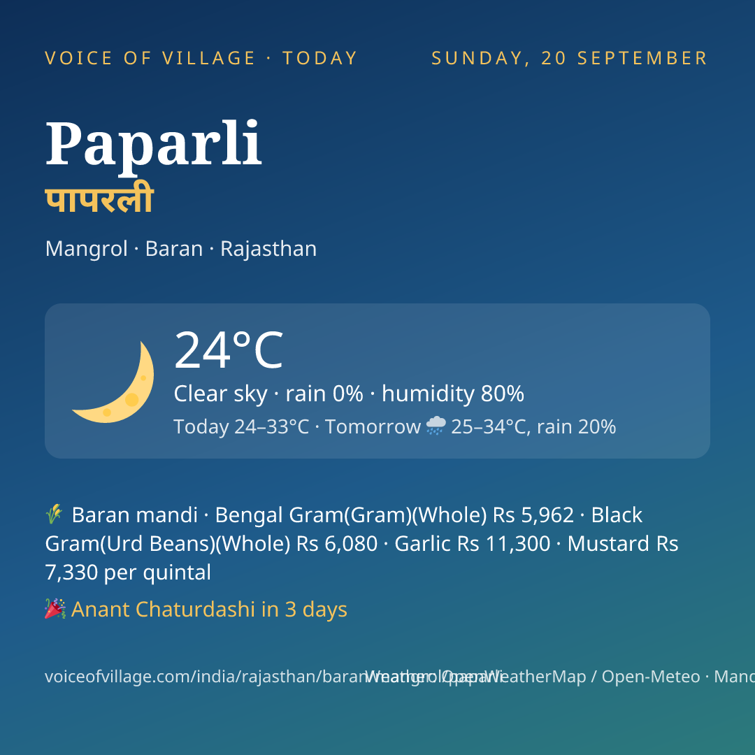 Paparli today