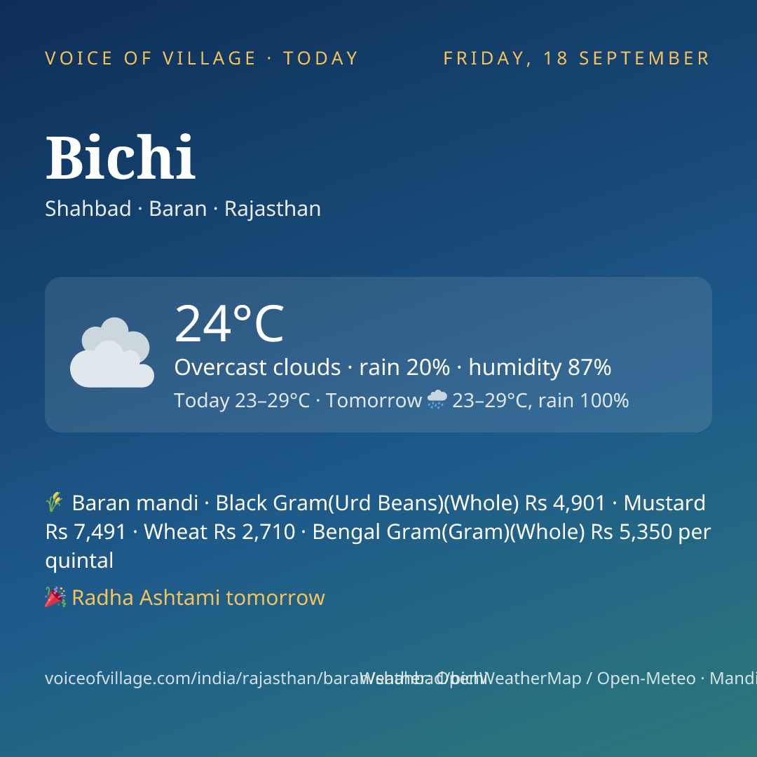 Bichi today