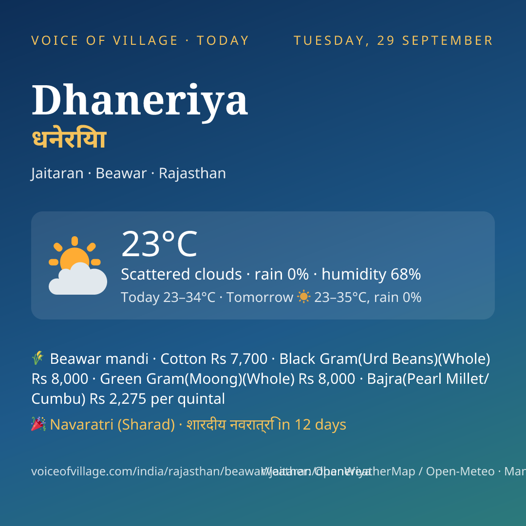 Dhaneriya today