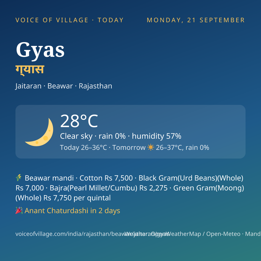 Gyas today