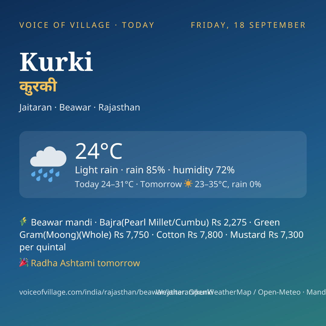 Kurki today