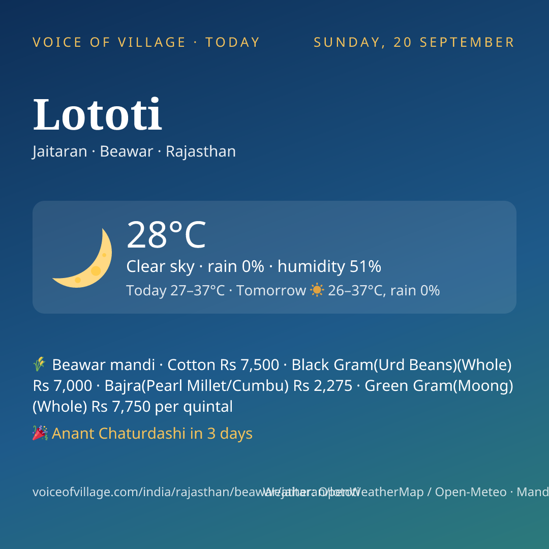 Lototi today