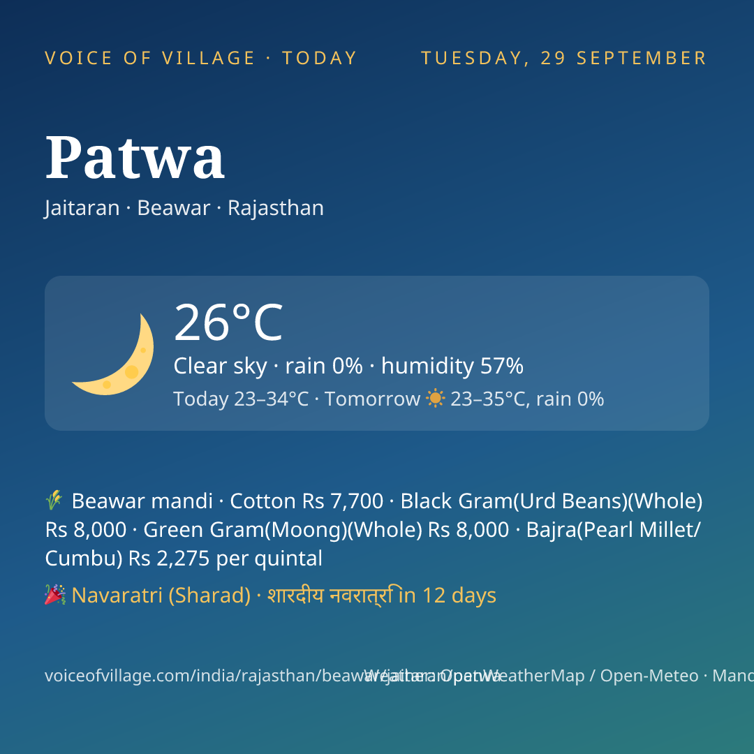 Patwa today