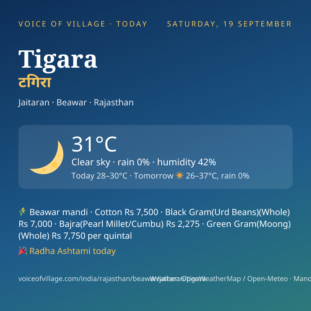 Tigara today