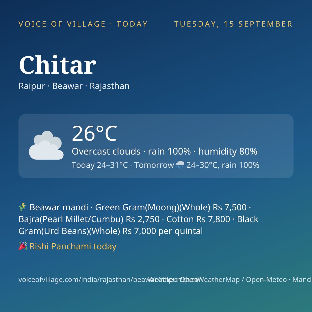 Chitar today