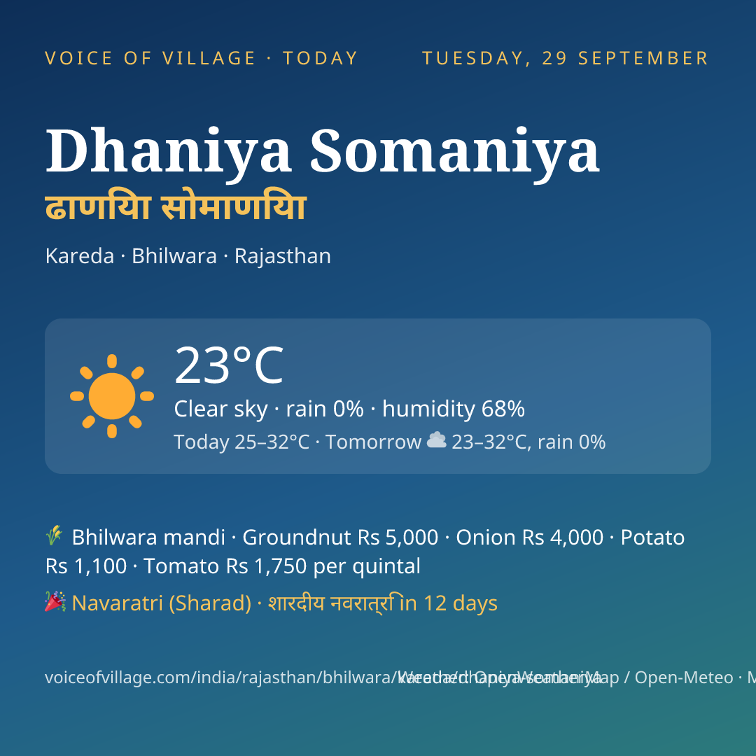 Dhaniya Somaniya today