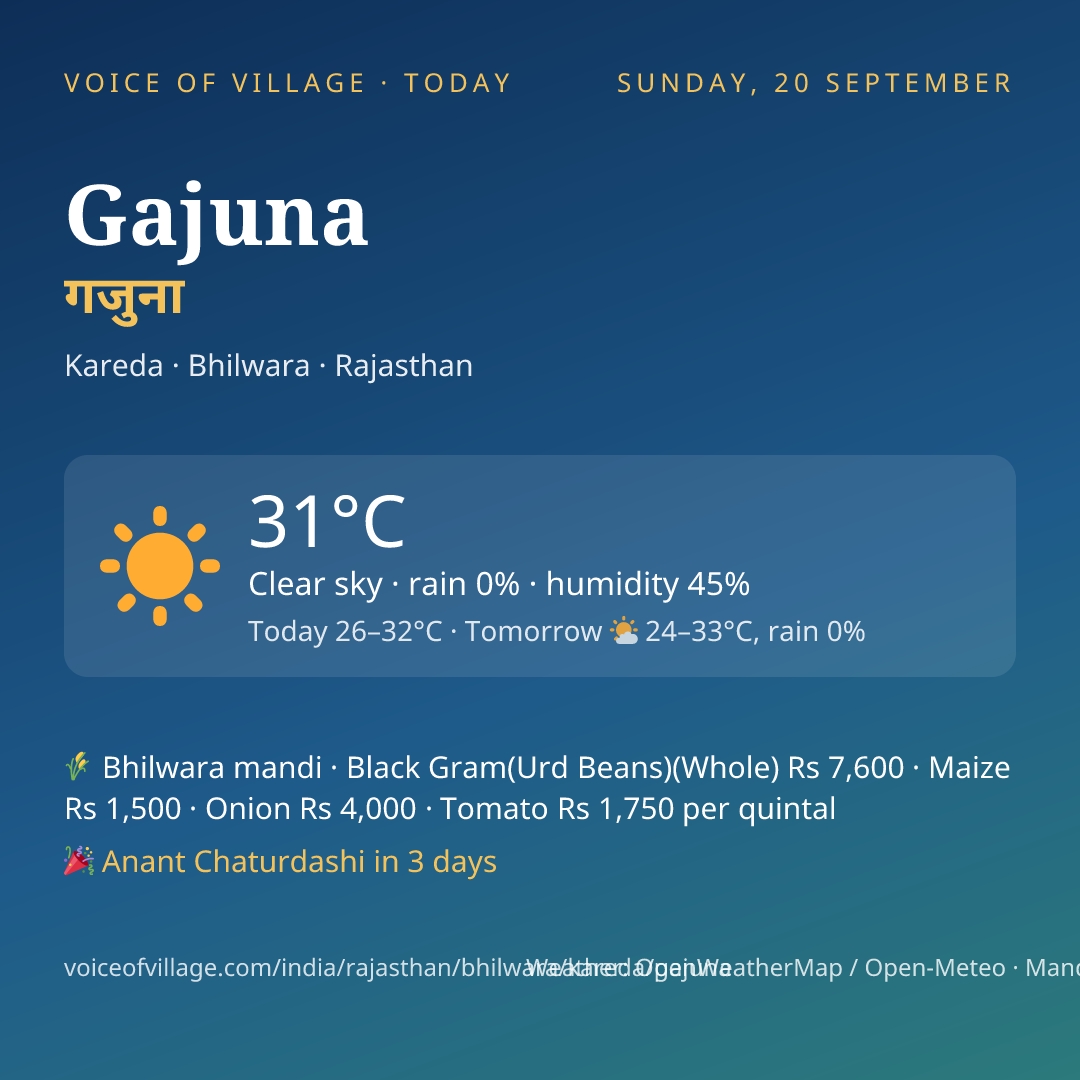 Gajuna today