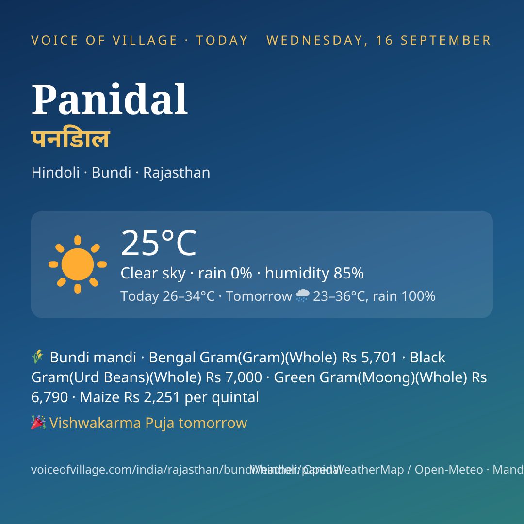 Panidal today