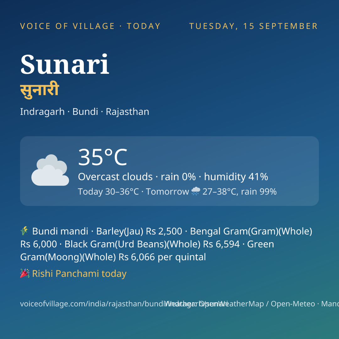 Sunari today